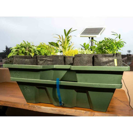 Ebb&Grow Solar | Ebbe Flut System | Terra Aquatica (GHE) - Grow-Zen