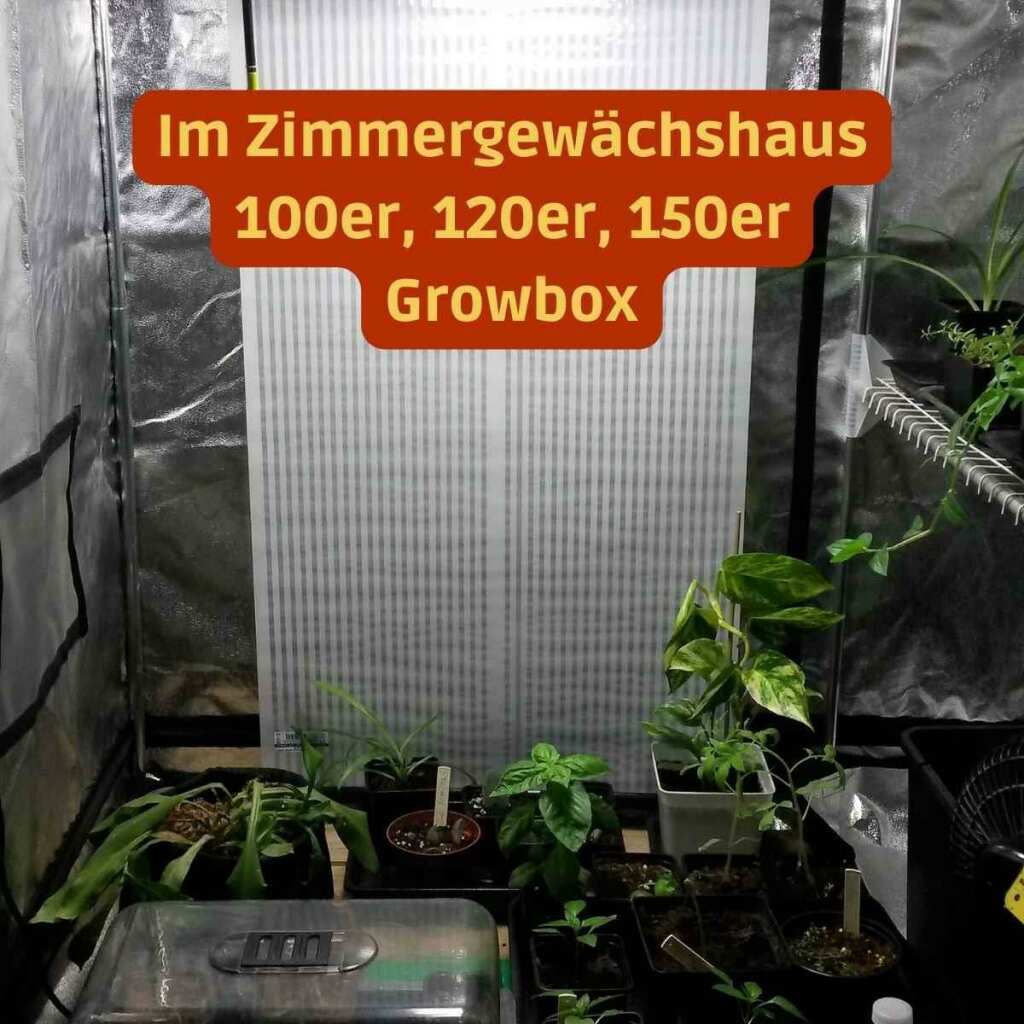 Infrarotheizung 500W | 120x58cm | Solea - Grow-Zen