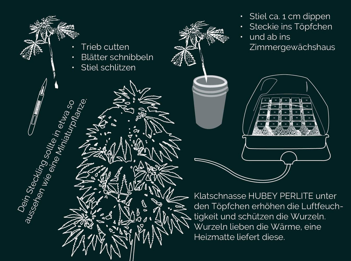 Hubey Bio Rooting Gel 30 ml