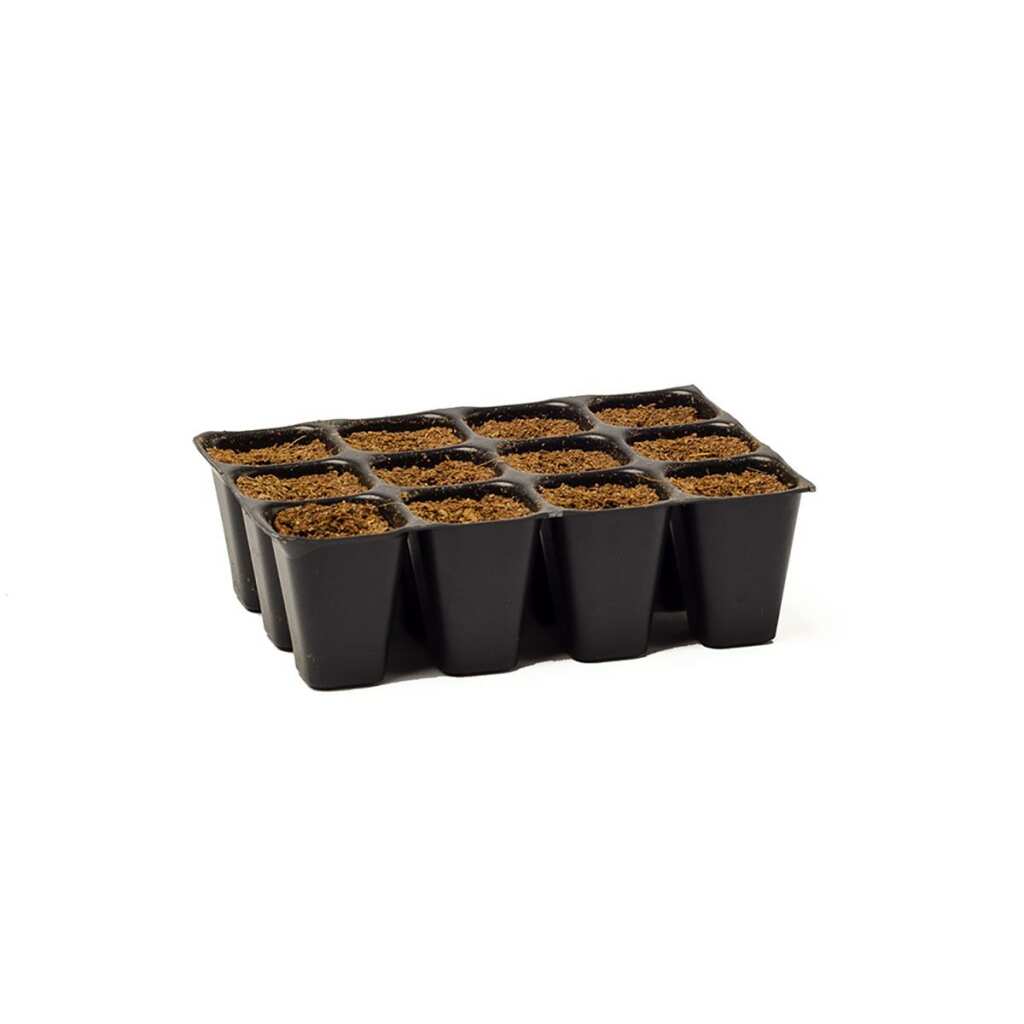 BioTabs | Seedplugs | Anzuchtwürfel für Samen | 12 Stück - Grow-Zen