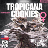 Criminal Seeds Tropicana Cookies x Cali Fem 3St.