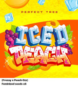 Perfect Tree Iced Peach x6 Fem 6St.