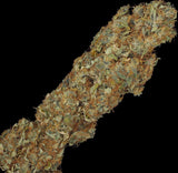 T.H. Seeds S.A.G.E. CBD Fem. 2St.