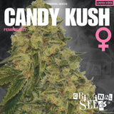 Criminal Seeds Candy Kush Fem 3St.