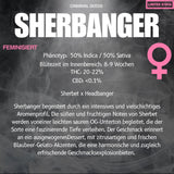 Criminal Seeds Sherbanger x Cali Fem 3St.