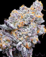 In House Genetics Deluxe Sugarcane Fem 3 St.