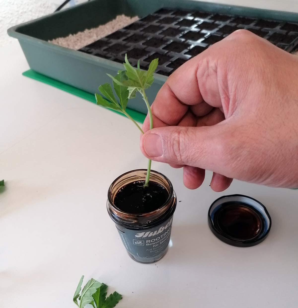 Hubey Bio Rooting Gel 70 ml