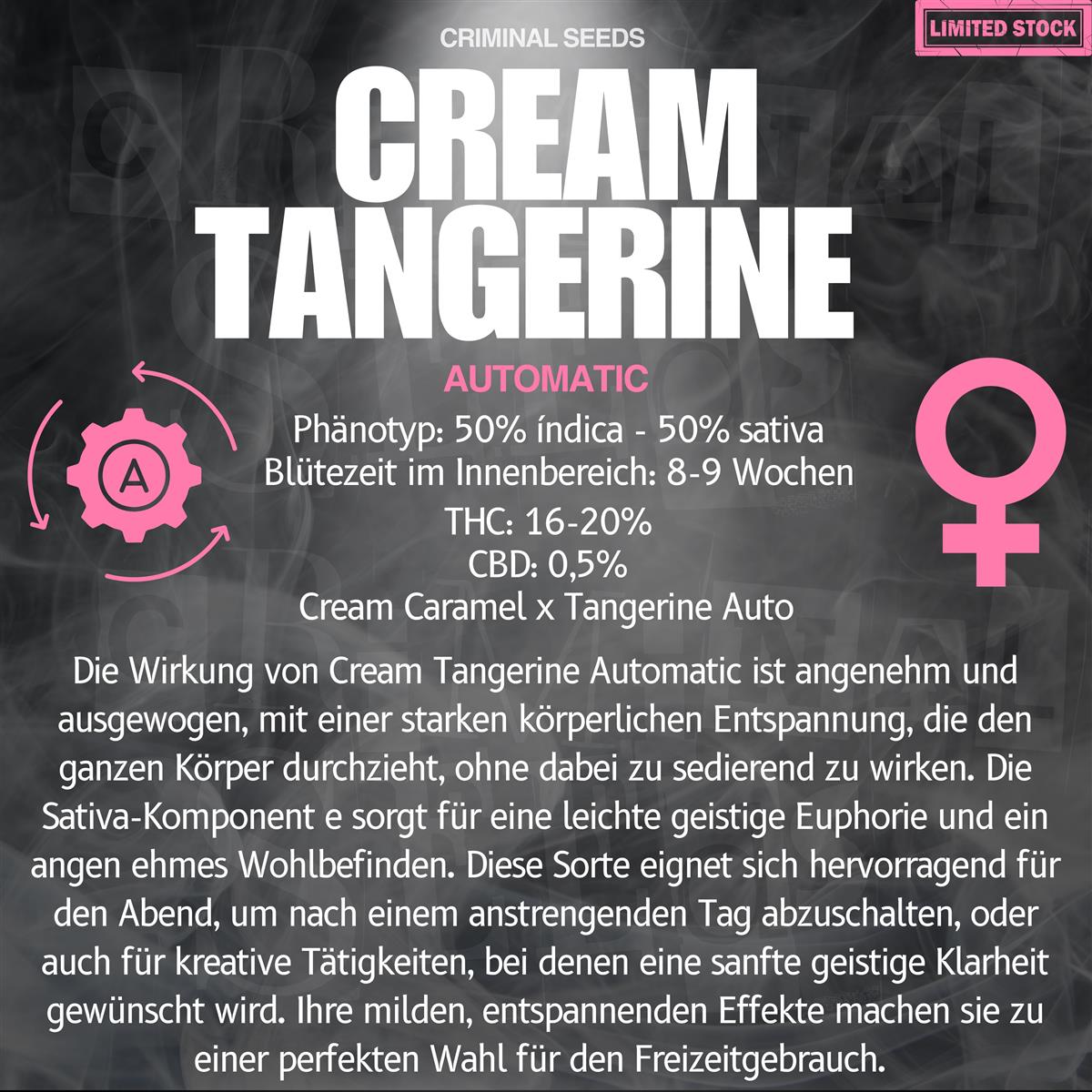 Criminal Seeds Cream Tangerine Auto Fem 3St.