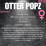 Criminal Seeds Otter Popz x Cali Fem 3St.