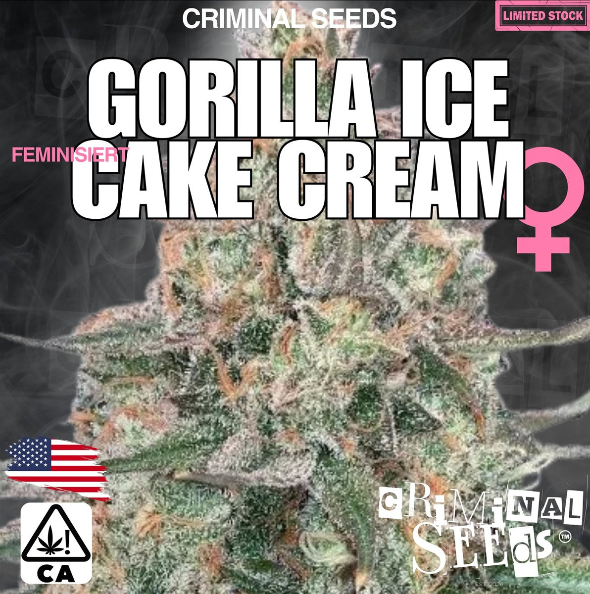 Criminal Seeds Gorilla Ice Cake Cream x Cali Fem 3St.