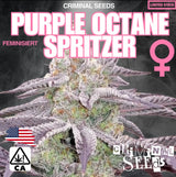 Criminal Seeds Purple Octane Spritzer Fem 3St.