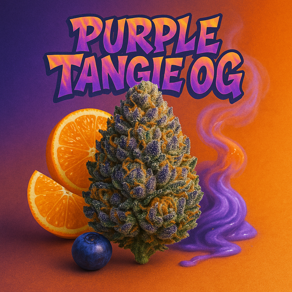 GrowZen - Purple Tangie OG Feminisiert 3stk