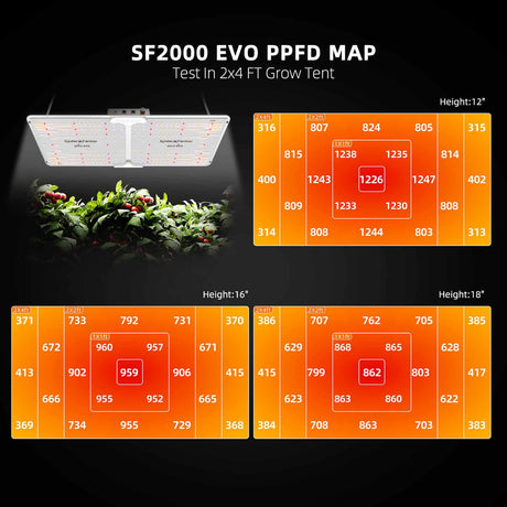 Spider Farmer® SF2000 EVO 200 Watt Grow LED - grow-zen