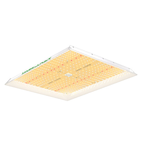 Mars Hydro TSW 2000 LED Grow Lampe Vollspektrum für Zimmerpflanzen Gemüse und Blum - grow-zen