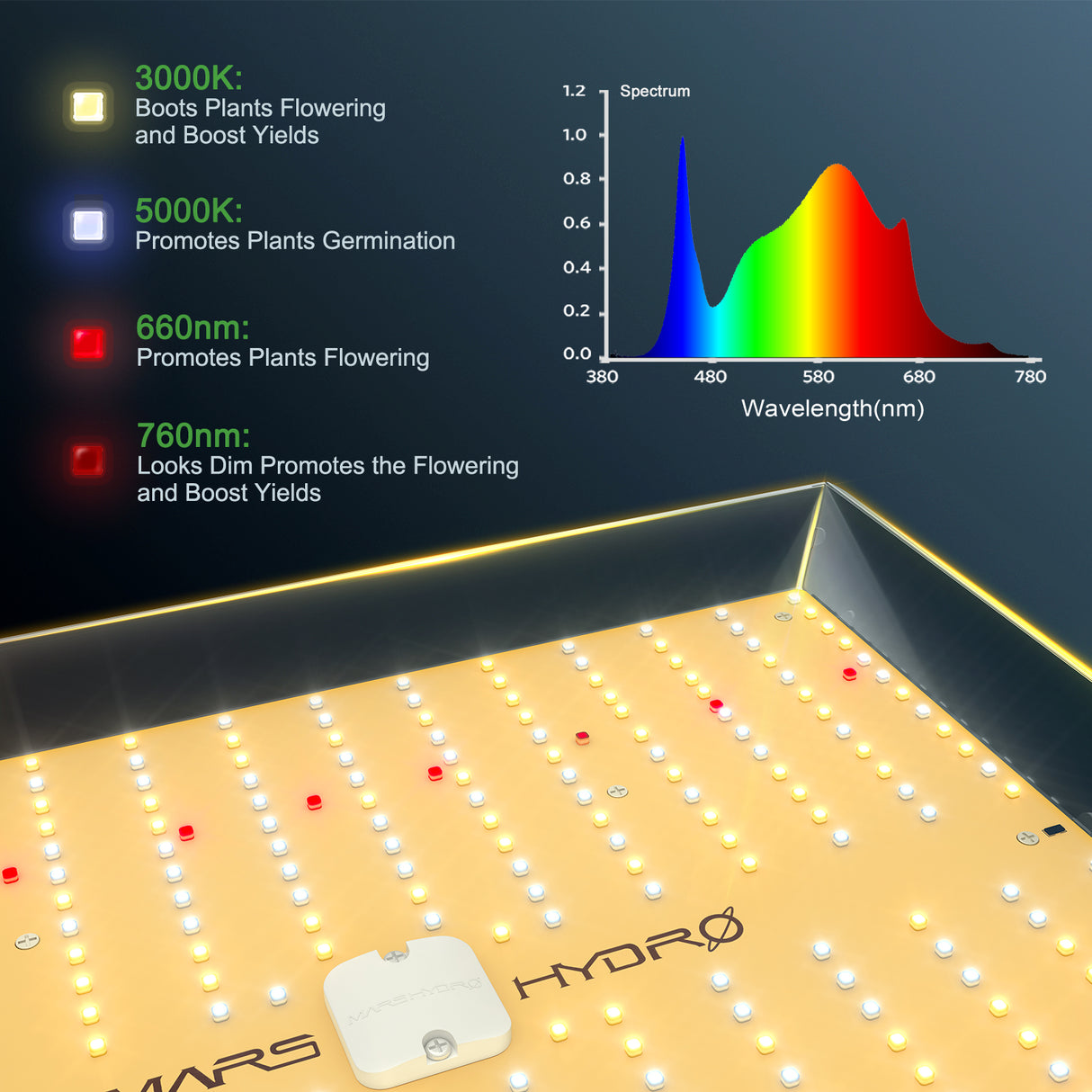 Mars Hydro TSW 2000 LED Grow Lampe Vollspektrum für Zimmerpflanzen Gemüse und Blum - grow-zen