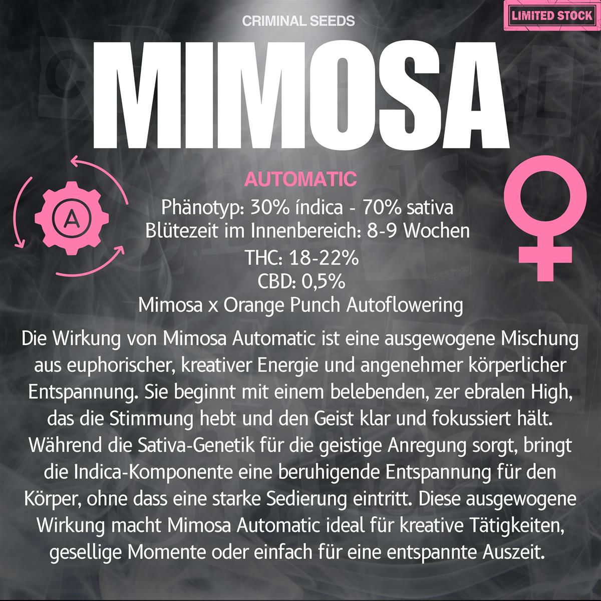 Criminal Seeds Mimosa Auto Fem 3St.