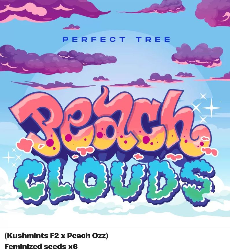 Perfect Tree Peach Clouds Fem 6St.