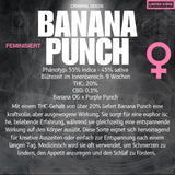 Criminal Seeds Banana Punch Fem 3St.