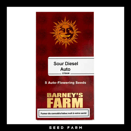 Nahaufnahme einer dichten, frostigen Cannabisblüte vor schwarzem Hintergrund. Die Blüte ist mit Trichomen bedeckt und hat grüne Blätter mit violetten und orangefarbenen Farbtönen. Die Sorte ist Barney's Farm – Sour Diesel – Automatic, bekannt für ihren hohen THC-Gehalt von 23 %. In der unteren rechten Ecke befindet sich ein Logo mit einem lächelnden Sonnenemblem und einem Gesicht der Marke Barney's Farm.