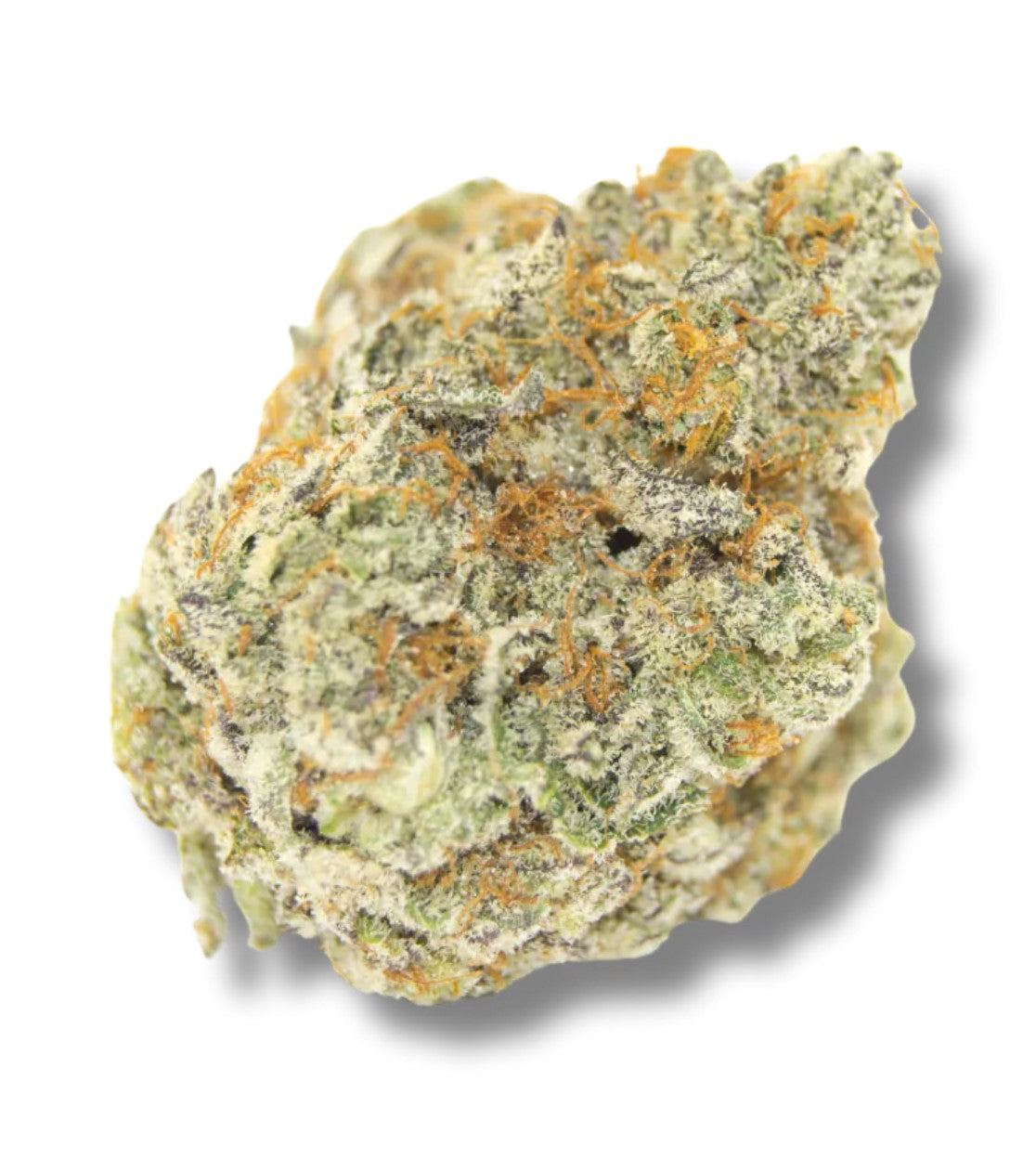 Growers Choice Permanent Whitemarker Fem 3 St.