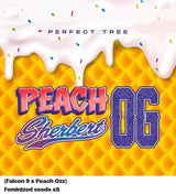 Perfect Tree Peach Sherbert OG Fem 6St.