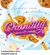 Perfect Tree Chantilly X6 Fem 6St.