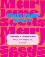 Marj Jane Amnesia X Lemon Haze Fem. 3St.