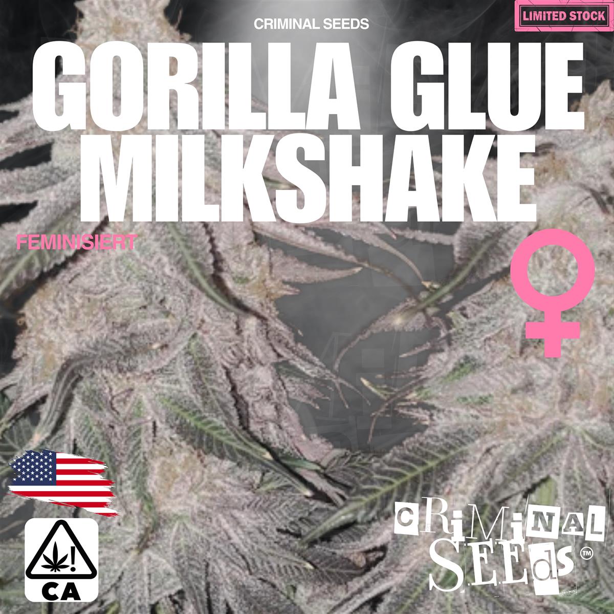 Criminal Seeds Gorilla Glue Milkshake X Cali Fem 3St.