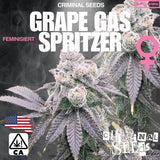 Criminal Seeds Grape Gas Spritzer Fem 3St.