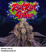 Perfect Tree Red Red Wine Fem 6St.