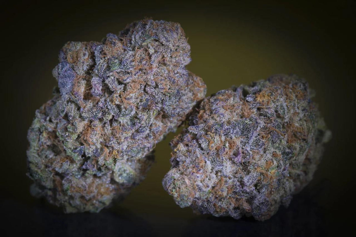 Paradise Seeds Purple Mints Fem 3 St.