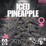 Criminal Seeds Iced Pineapple x Cali Fem 3St.