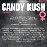 Criminal Seeds Candy Kush Fem 3St.