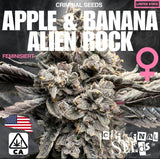 Criminal Seeds Apple Banana Alien Rock Fem 3St.