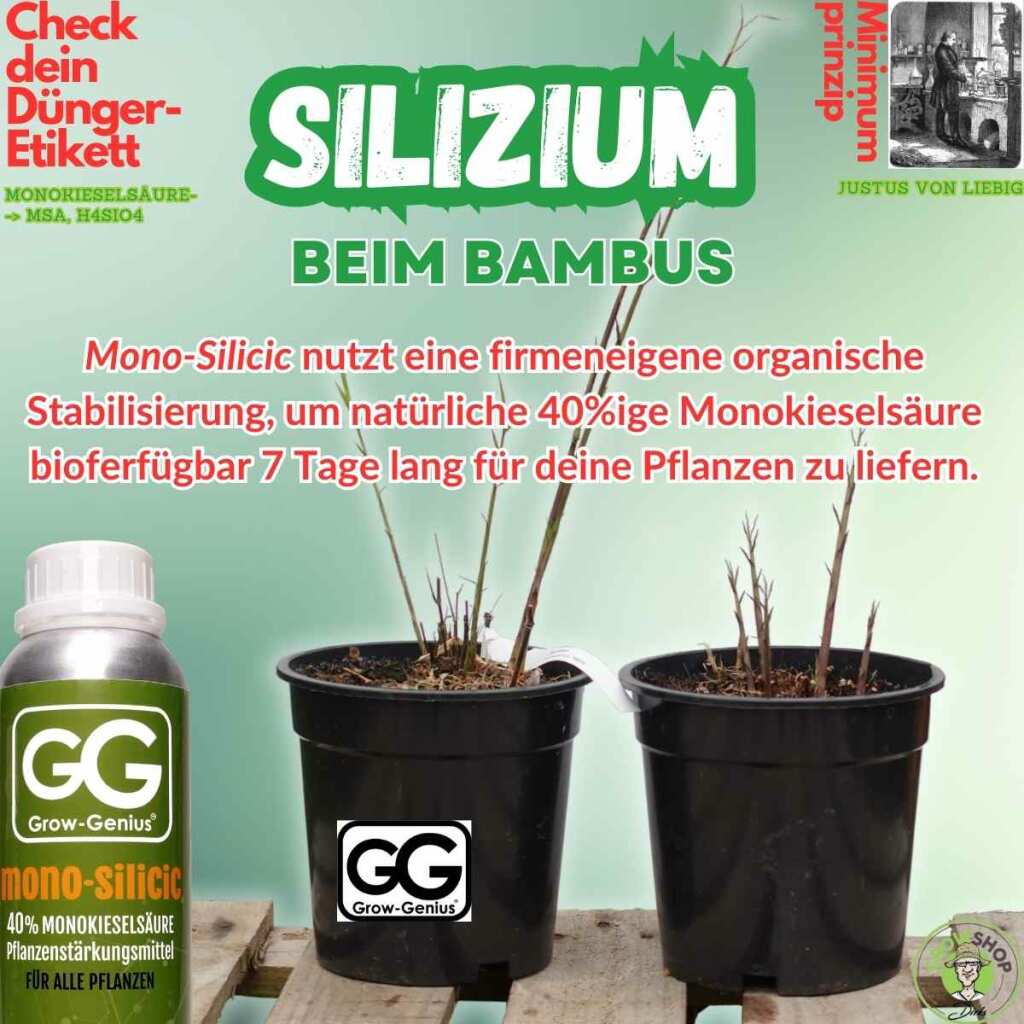 Grow Genius | Silizium Dünger Monokieselsäure (40%) | 10ml mit Pipette - Grow-Zen