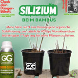 Grow Genius | Silizium Dünger Monokieselsäure (40%) | 10ml mit Pipette - Grow-Zen