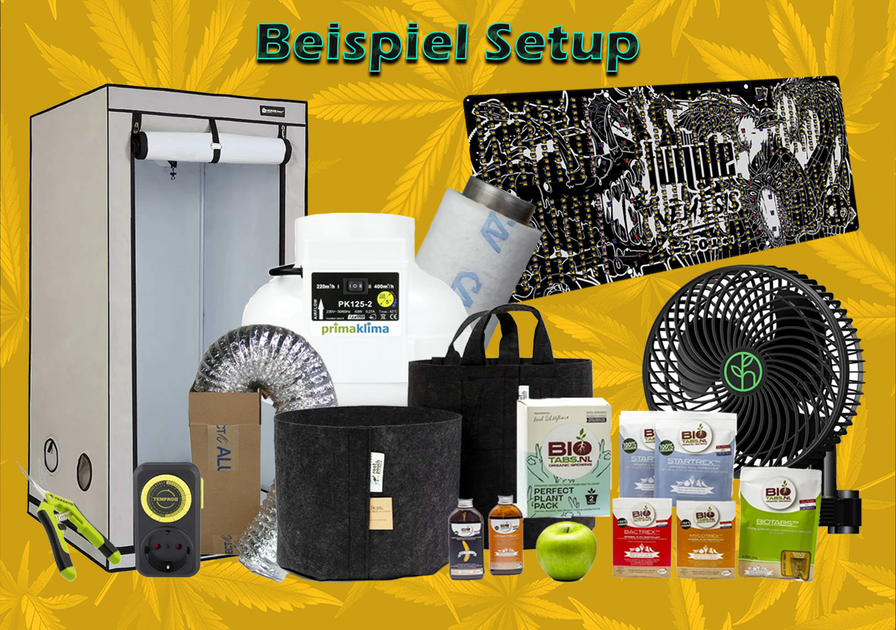 Shop the Look: Beispiel Grow-Setup