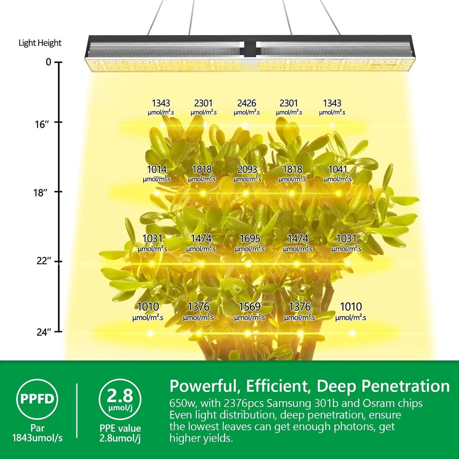 Mars Hydro SP 6500 - 650 W Led Grow Lampe Samsung Osram 660nm Kommerzielle Pflanzenlampen für Zimmerpflanzen - grow-zen